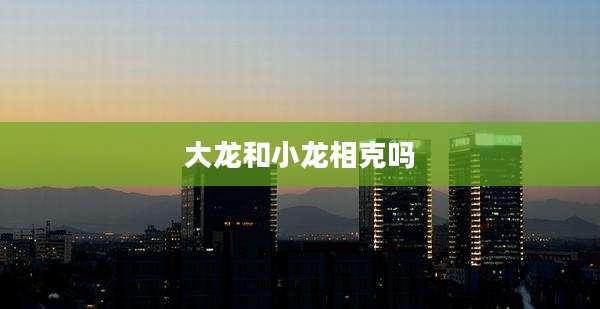 大龙和小龙相克吗