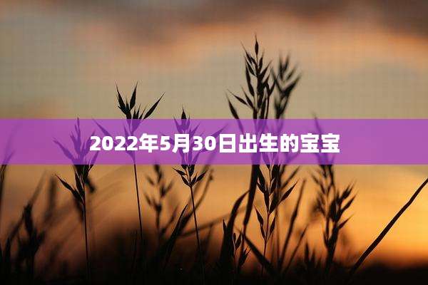 2022年5月30日出生的宝宝