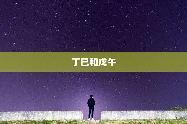 丁巳和戊午