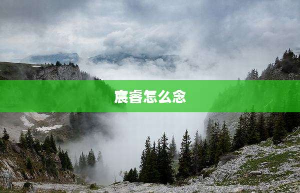 宸睿怎么念