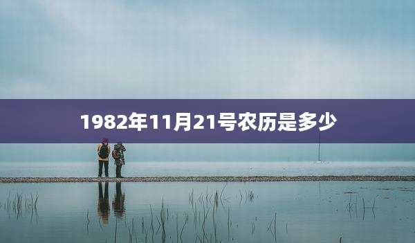 1982年11月21号农历是多少