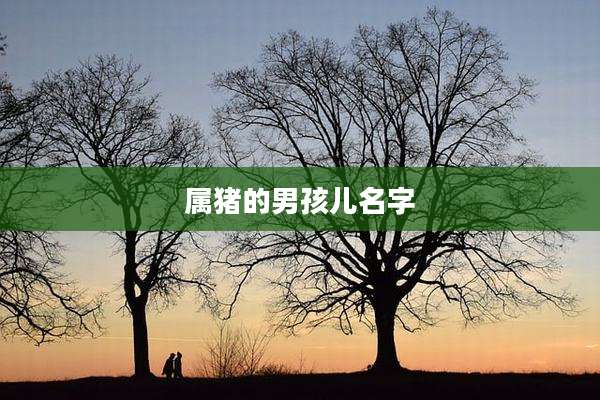 属猪的男孩儿名字
