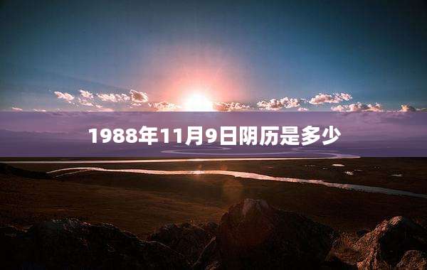 1988年11月9日阴历是多少
