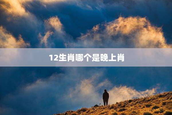 12生肖哪个是晚上肖