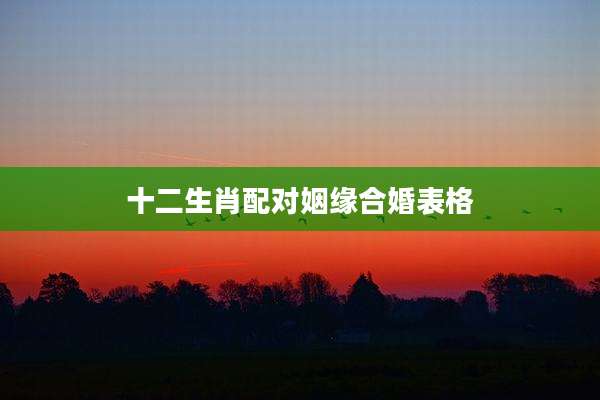 十二生肖配对姻缘合婚表格