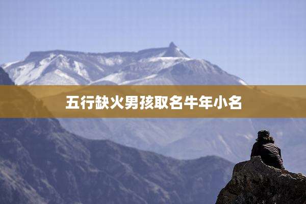 五行缺火男孩取名牛年小名
