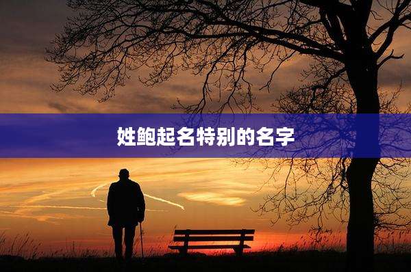 姓鲍起名特别的名字