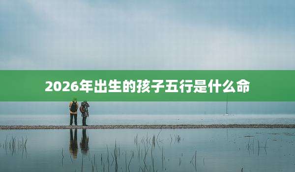 2026年出生的孩子五行是什么命