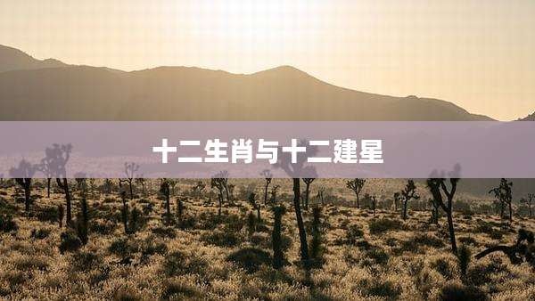 十二生肖与十二建星