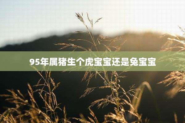 95年属猪生个虎宝宝还是兔宝宝