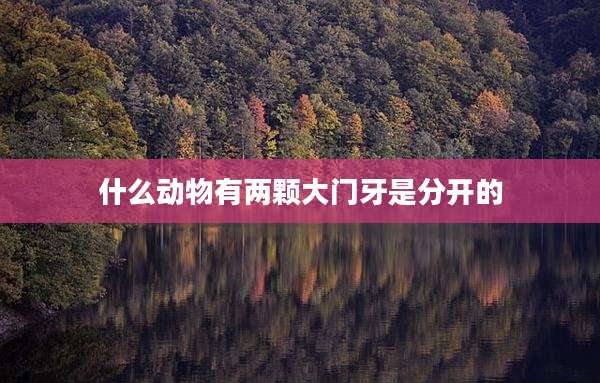 什么动物有两颗大门牙是分开的
