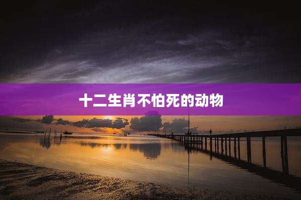 十二生肖不怕死的动物