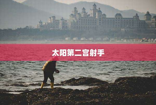 太阳第二宫射手