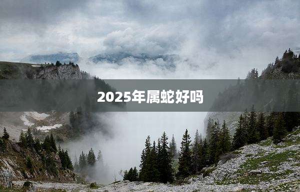 2025年属蛇好吗