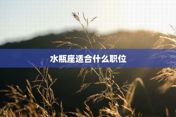 水瓶座适合什么职位