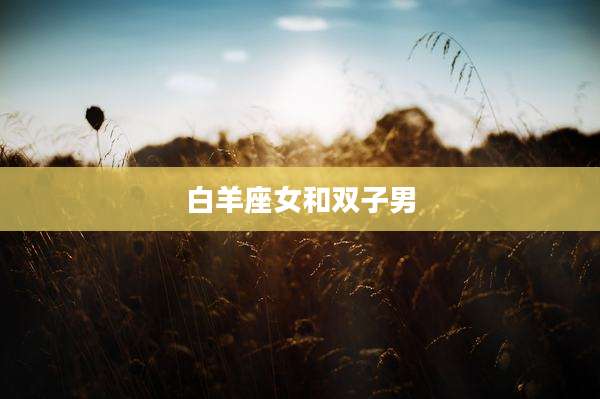 白羊座女和双子男