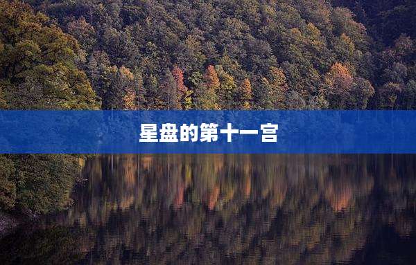 星盘的第十一宫