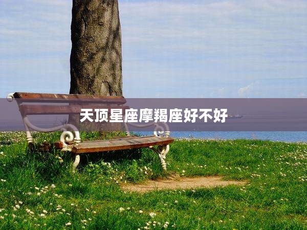 天顶星座摩羯座好不好