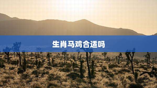 生肖马鸡合适吗