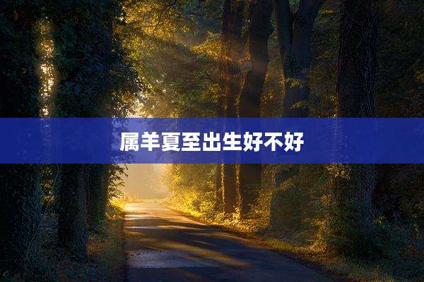 属羊夏至出生好不好