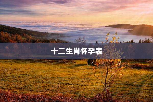 十二生肖怀孕表