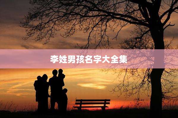 李姓男孩名字大全集