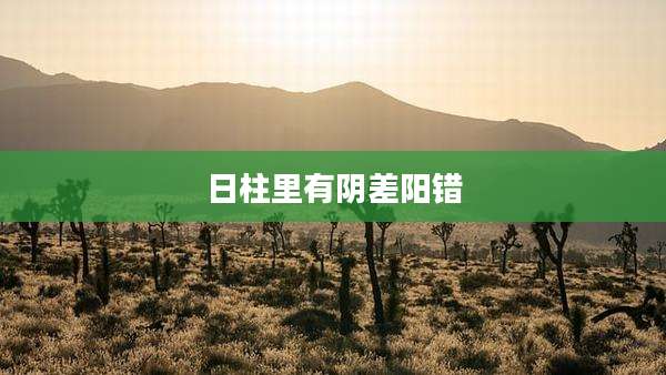 日柱里有阴差阳错
