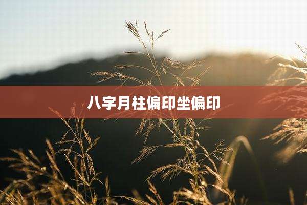 八字月柱偏印坐偏印