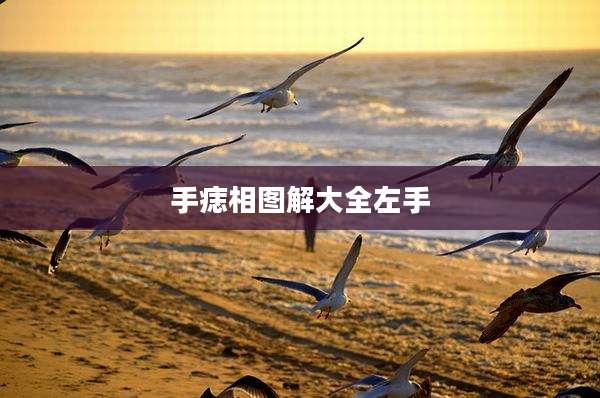 手痣相图解大全左手