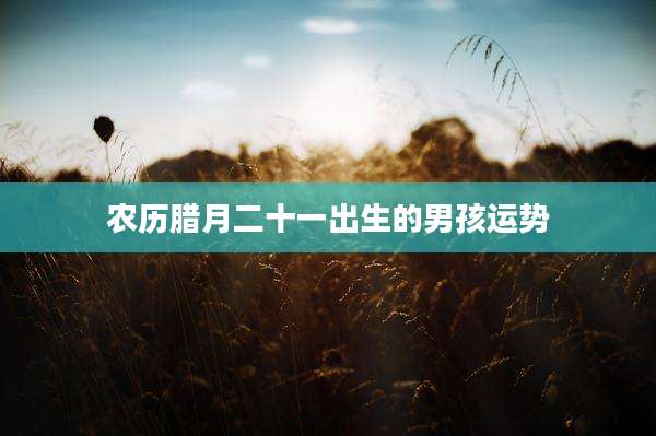 农历腊月二十一出生的男孩运势