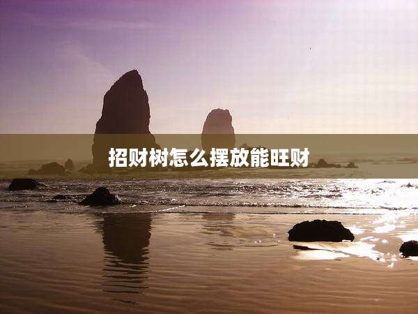 招财树怎么摆放能旺财