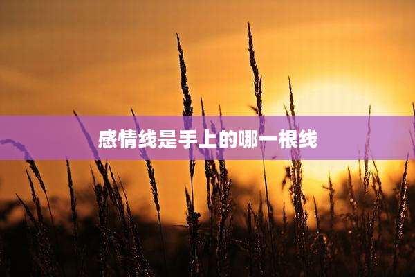 感情线是手上的哪一根线