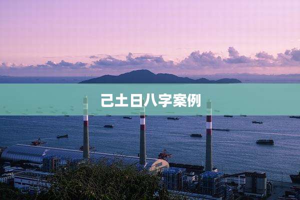 己土日八字案例