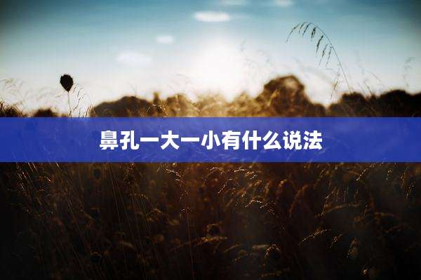鼻孔一大一小有什么说法