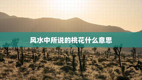 风水中所说的桃花什么意思