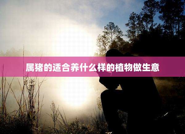 属猪的适合养什么样的植物做生意