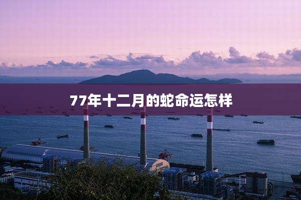 77年十二月的蛇命运怎样