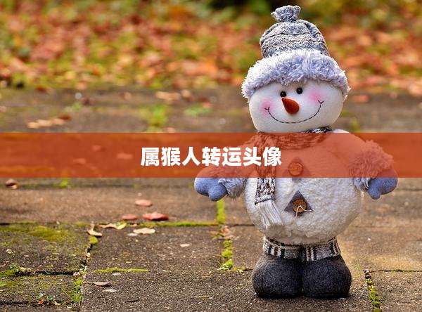 属猴人转运头像