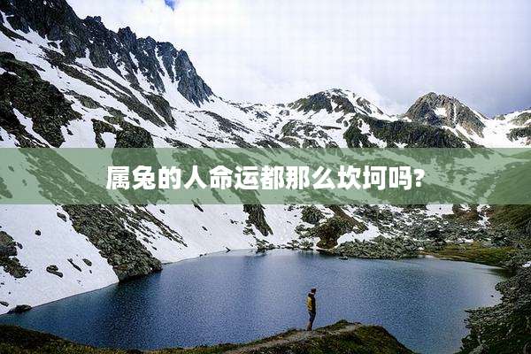 属兔的人命运都那么坎坷吗?