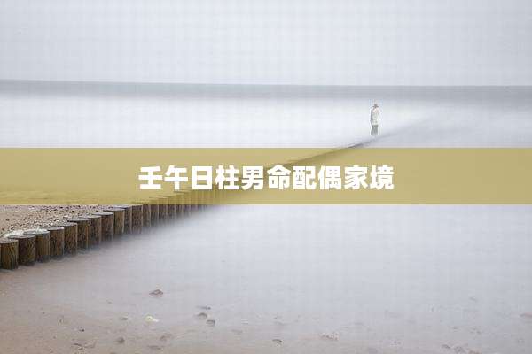 壬午日柱男命配偶家境