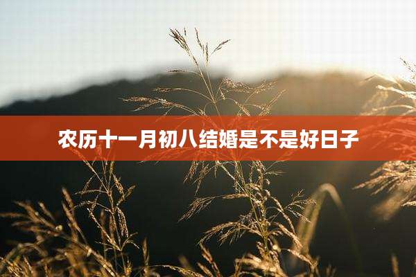 农历十一月初八结婚是不是好日子