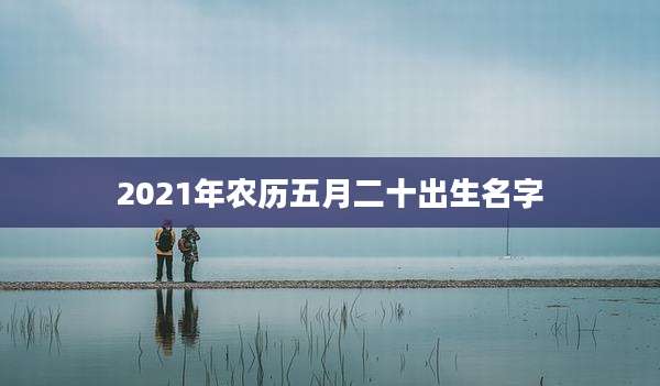 2021年农历五月二十出生名字