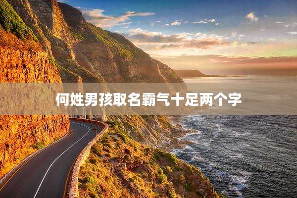 何姓男孩取名霸气十足两个字