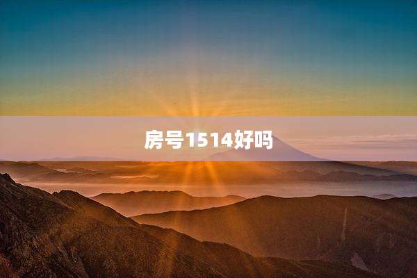 房号1514好吗