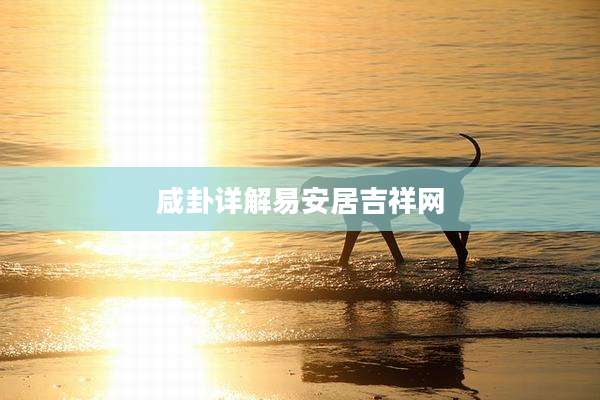 咸卦详解易安居吉祥网