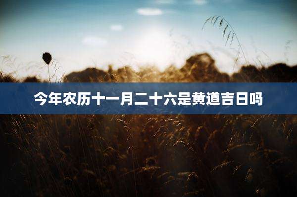 今年农历十一月二十六是黄道吉日吗