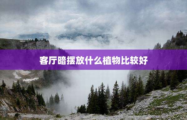 客厅暗摆放什么植物比较好