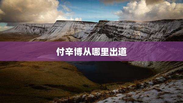 付辛博从哪里出道