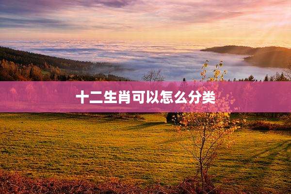 十二生肖可以怎么分类