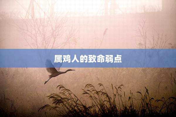 属鸡人的致命弱点